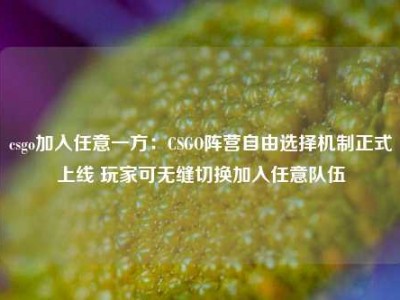 csgo加入任意一方：CSGO阵营自由选择机制正式上线 玩家可无缝切换加入任意队伍