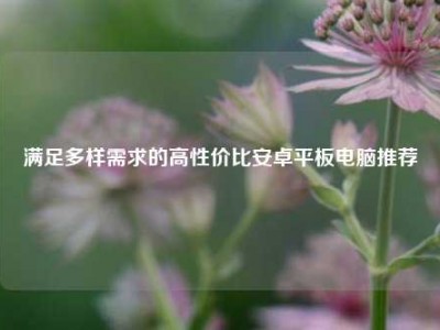 满足多样需求的高性价比安卓平板电脑推荐