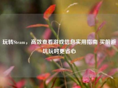 玩转Steam，高效查看游戏信息实用指南 买前避坑玩时更省心