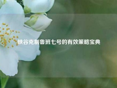 峡谷克制鲁班七号的有效策略宝典