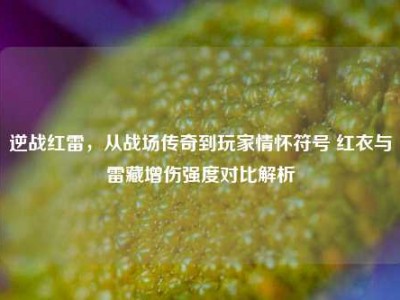 逆战红雷，从战场传奇到玩家情怀符号 红衣与雷藏增伤强度对比解析