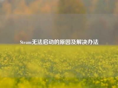 Steam无法启动的原因及解决办法