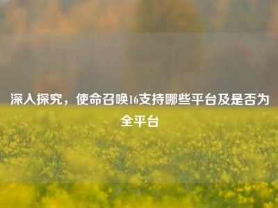 深入探究，使命召唤16支持哪些平台及是否为全平台