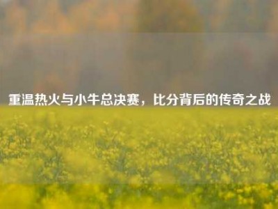 重温热火与小牛总决赛，比分背后的传奇之战