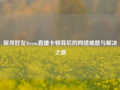 探寻好友Steam直播卡顿背后的网络难题与解决之道