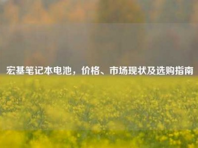 宏基笔记本电池，价格、市场现状及选购指南