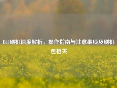 E63刷机深度解析，操作指南与注意事项及刷机包相关