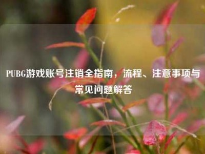 PUBG游戏账号注销全指南，流程、注意事项与常见问题解答