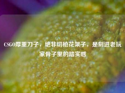 CSGO厚重刀子，绝非切枪花架子，是刻进老玩家骨子里的踏实感