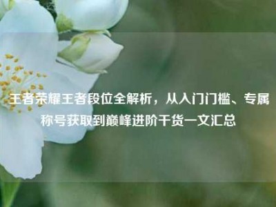 王者荣耀王者段位全解析，从入门门槛、专属称号获取到巅峰进阶干货一文汇总