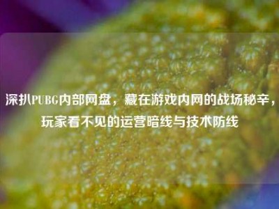 深扒PUBG内部网盘，藏在游戏内网的战场秘辛，玩家看不见的运营暗线与技术防线