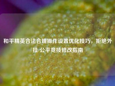和平精英合法合规操作设置优化技巧，拒绝外挂 公平竞技修改指南