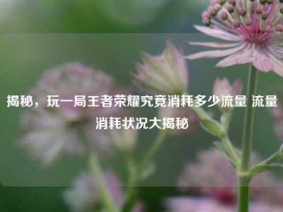 揭秘，玩一局王者荣耀究竟消耗多少流量 流量消耗状况大揭秘