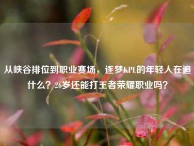 从峡谷排位到职业赛场，逐梦KPL的年轻人在追什么？26岁还能打王者荣耀职业吗？