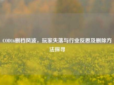 COD16删档风波，玩家失落与行业反思及删除方法探寻