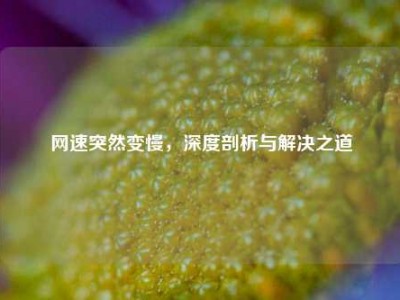 网速突然变慢，深度剖析与解决之道