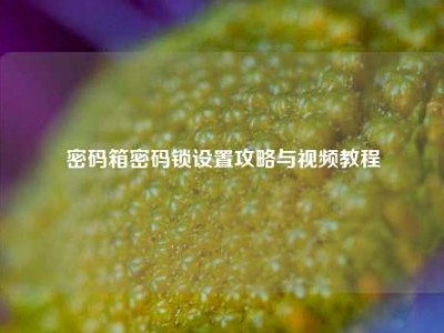 密码箱密码锁设置攻略与视频教程