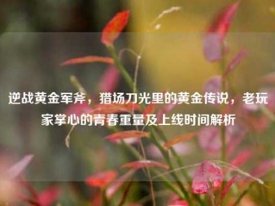 逆战黄金军斧，猎场刀光里的黄金传说，老玩家掌心的青春重量及上线时间解析
