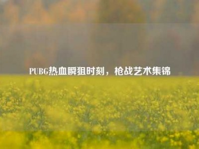 PUBG热血瞬狙时刻，枪战艺术集锦