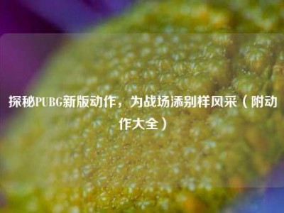 探秘PUBG新版动作，为战场添别样风采（附动作大全）