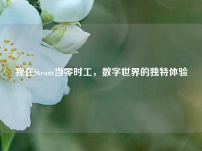 我在Steam当零时工，数字世界的独特体验