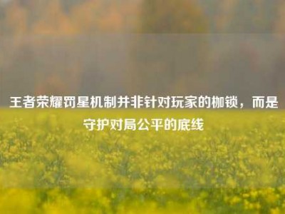 王者荣耀罚星机制并非针对玩家的枷锁，而是守护对局公平的底线