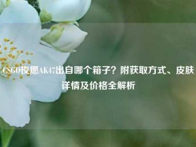 CSGO夜愿AK47出自哪个箱子？附获取方式、皮肤详情及价格全解析