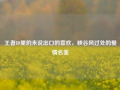 王者ID里的未说出口的喜欢，峡谷风过处的爱情名鉴