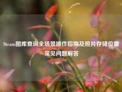 Steam图库查询全场景操作指南及照片存储位置常见问题解答