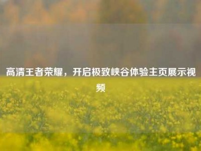 高清王者荣耀，开启极致峡谷体验主页展示视频