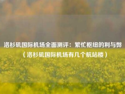 洛杉矶国际机场全面测评：繁忙枢纽的利与弊（洛杉矶国际机场有几个航站楼）