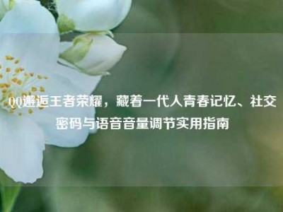 QQ邂逅王者荣耀，藏着一代人青春记忆、社交密码与语音音量调节实用指南