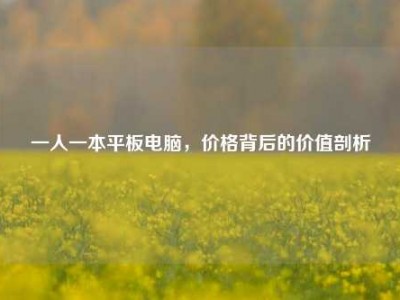 一人一本平板电脑，价格背后的价值剖析