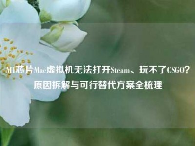 M1芯片Mac虚拟机无法打开Steam、玩不了CSGO？原因拆解与可行替代方案全梳理
