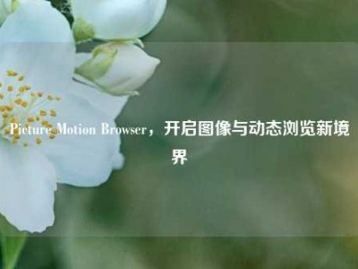 Picture Motion Browser，开启图像与动态浏览新境界