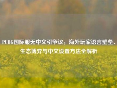 PUBG国际服无中文引争议，海外玩家语言壁垒、生态博弈与中文设置方法全解析