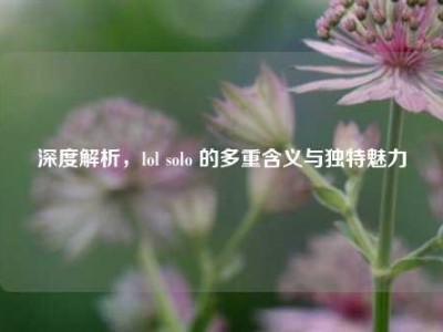 深度解析，lol solo 的多重含义与独特魅力