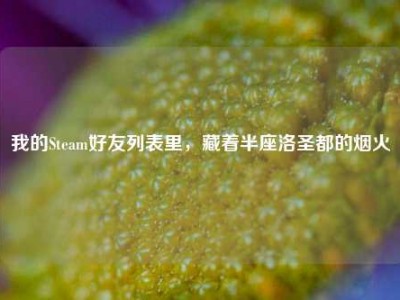 我的Steam好友列表里，藏着半座洛圣都的烟火