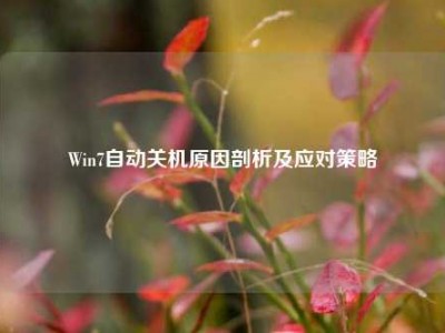 Win7自动关机原因剖析及应对策略