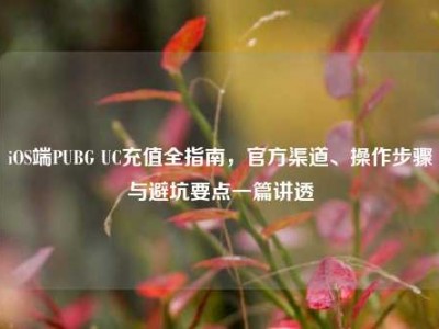 iOS端PUBG UC充值全指南，官方渠道、操作步骤与避坑要点一篇讲透