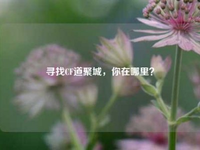 寻找CF道聚城，你在哪里？