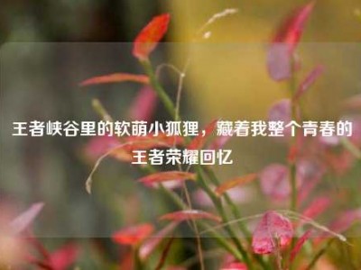 王者峡谷里的软萌小狐狸，藏着我整个青春的王者荣耀回忆