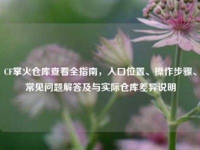 CF掌火仓库查看全指南，入口位置、操作步骤、常见问题解答及与实际仓库差异说明
