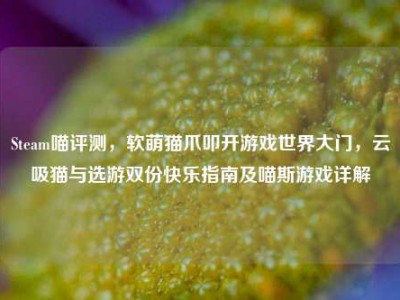 Steam喵评测，软萌猫爪叩开游戏世界大门，云吸猫与选游双份快乐指南及喵斯游戏详解