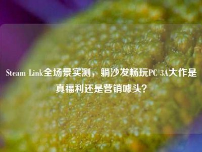 Steam Link全场景实测，躺沙发畅玩PC 3A大作是真福利还是营销噱头？