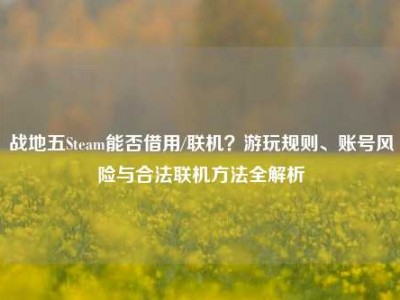战地五Steam能否借用/联机？游玩规则、账号风险与合法联机方法全解析