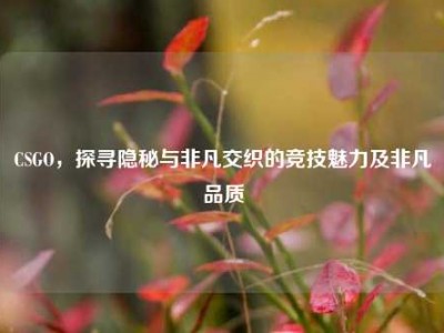 CSGO，探寻隐秘与非凡交织的竞技魅力及非凡品质