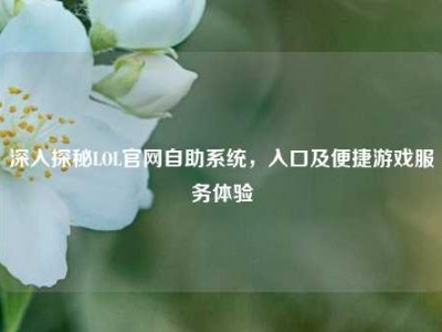 深入探秘LOL官网自助系统，入口及便捷游戏服务体验