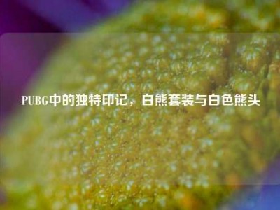 PUBG中的独特印记，白熊套装与白色熊头