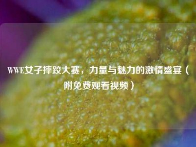 WWE女子摔跤大赛，力量与魅力的激情盛宴（附免费观看视频）